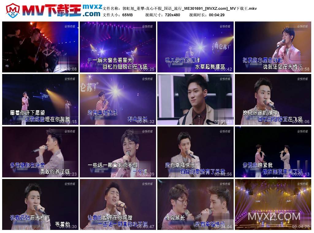 郭虹旭_董攀-真心不假_国语_流行_ME301691